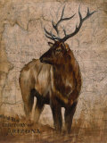 Nature Spirit II