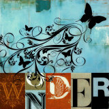 Wonder