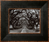 Buy Path in the Oaks II, Louisiana at AllPosters.com