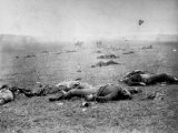 Buy Bodies of Soldiers Strewn About Field Following Bloody Battle of Gettysburg During the Civil War at AllPosters.com
