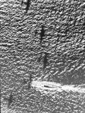 Buy Aerial View of Submarine Patrolling Near the Panama Canal at AllPosters.com