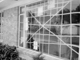 Buy NAACP President Daisy Bates Peering Through Front Window Shattered by Opponents of Desegregation at AllPosters.com