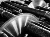 Sixteen-Foot Logs Being Cut in Slasher Mill in Preparation for Next Stage at Paper Mill