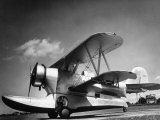 Buy US Navy Grumman J2F-1 Amphibious Aircraft at AllPosters.com