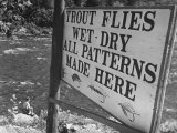 Trout: Wet - Dry All Patterns Made Here Between North Creek and North River, Hudson River Valley
