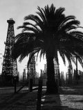 Buy Billowing Palm Tree Gracing the Stark Structures of Towering Oil Rigs at AllPosters.com