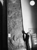 Man Looking at Fossilized Footprints of a Dinosaur at the American Museum of Natural History