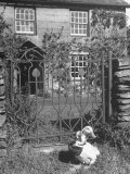 Jemima Puddle-Duck Posing in Front of Iron Gate Outside Beatrix Potter's Home
