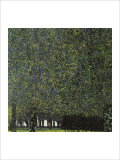 Buy Park at AllPosters.com
