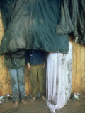 Buy Taking Shelter from the Storm at Woodstock at AllPosters.com