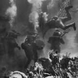 Propman Helping Seaweed Harvest During Underwater Filming of Disney's 20,000 Leagues Under the Sea