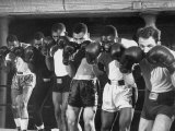 Boxers Showing the Peek-A-Boo Style of Boxing