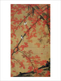 Buy Two Birds Meet Up on the Maple Tree at AllPosters.com