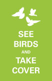 See Birds