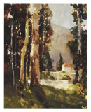 Buy Italian Villa at AllPosters.com