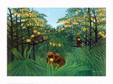 The Tropics