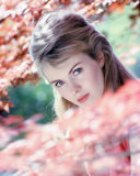 Buy Jean Seberg at AllPosters.com