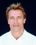 Buy Arnold Schwarzenegger at AllPosters.com