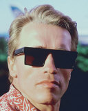 Buy Arnold Schwarzenegger at AllPosters.com