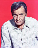 Buy Barry Sullivan at AllPosters.com