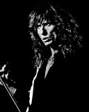 Whitesnake