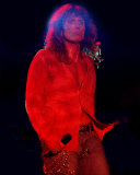 Whitesnake
