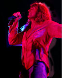 Whitesnake
