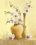 Buy Les Vases d'Orchidees at AllPosters.com