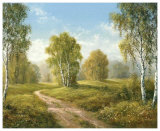 Sunny Afternoon