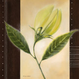Buy Dancing Leafs at AllPosters.com
