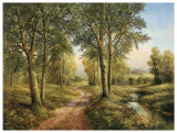 Castle Way