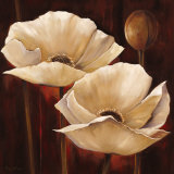 Buy Brilliance at AllPosters.com