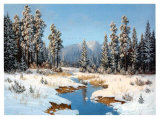 Romance Winter