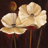 Buy Magnificence at AllPosters.com