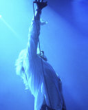 Whitesnake