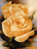 Yellow Roses