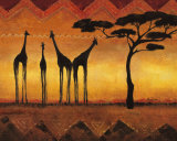 Les Girafes de Namibie