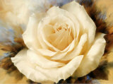 One Champagne Rose
