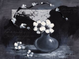 Buy Black Shadow at AllPosters.com