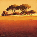 Red Earth