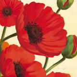 Hawaiian Poppies