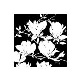 Black and White Magnolia