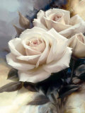 Virgin Rose