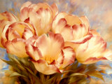 Buy Champagne Red Tulips at AllPosters.com