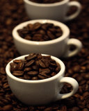 Espresso Beans