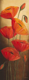 Tendril of Poppies