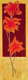 Buy Flowers in Red II at AllPosters.com