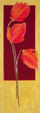 Buy Flowers in Red I at AllPosters.com