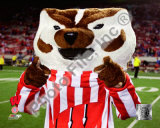 University of Wisconsin Badgers Mascot 2008