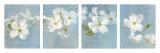 Buy Blossom Panel at AllPosters.com